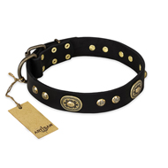 "High Fashion" FDT Artisan Studded with Plates Black Leather Pitbull Collar