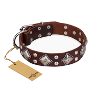 "King of Grace" FDT Artisan Stylish Leather Pitbull Collar with Old Silver-Like Plated Decorations