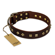 "Fashion Studs" FDT Artisan Decorated Leather Pitbull Collar with Old Bronze-Plated Steel Hardware "Fashion Studs" FDT Artisan Decorated Leather Pitbull Collar with Old Bronze-Plated Steel Hardware