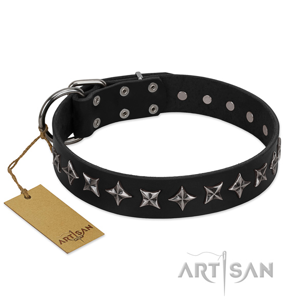 Daily walking dog collar of top notch leather with embellishments