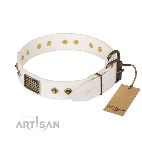 Full grain natural leather dog collar with strong hardware and embellishments