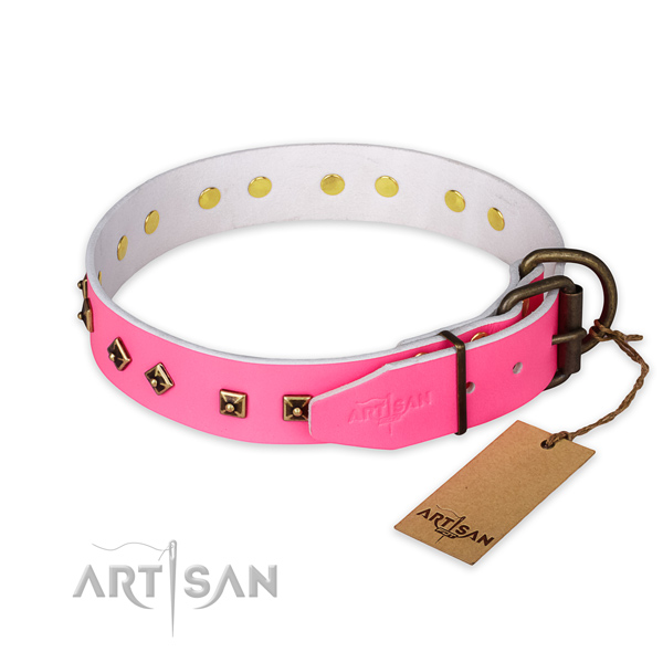 Corrosion proof fittings on natural leather collar for stylish walking your doggie