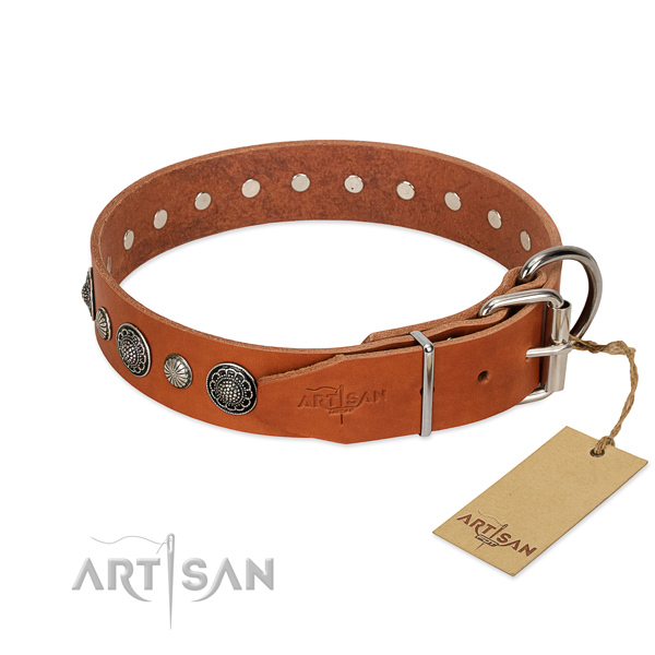 Strong full grain leather dog collar with rust resistant traditional buckle