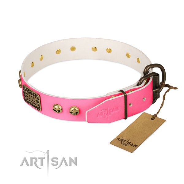 Reliable buckle on stylish walking dog collar