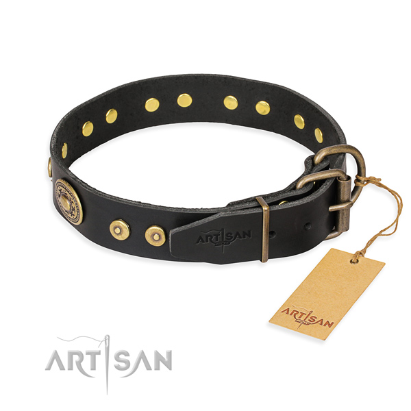 Full grain natural leather dog collar made of quality material with strong embellishments