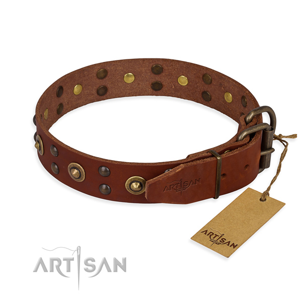 Durable traditional buckle on genuine leather collar for your stylish pet