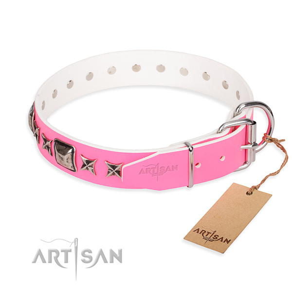 Reliable decorated dog collar of leather