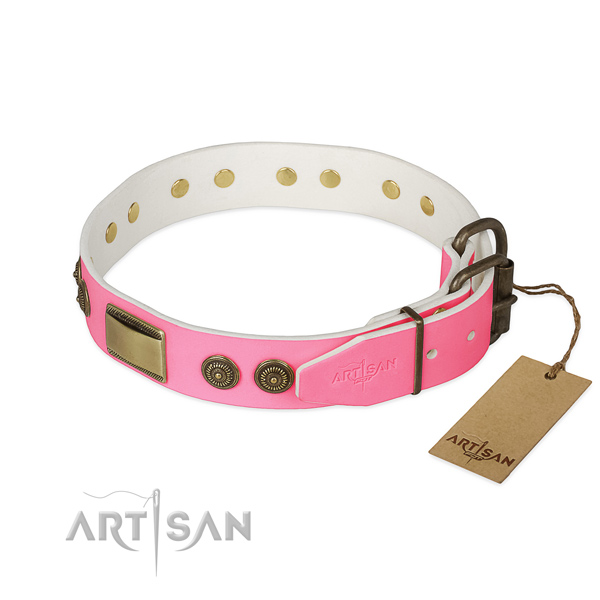 Rust-proof fittings on walking dog collar