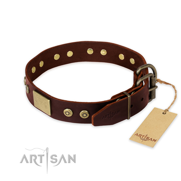 Rust-proof fittings on walking dog collar
