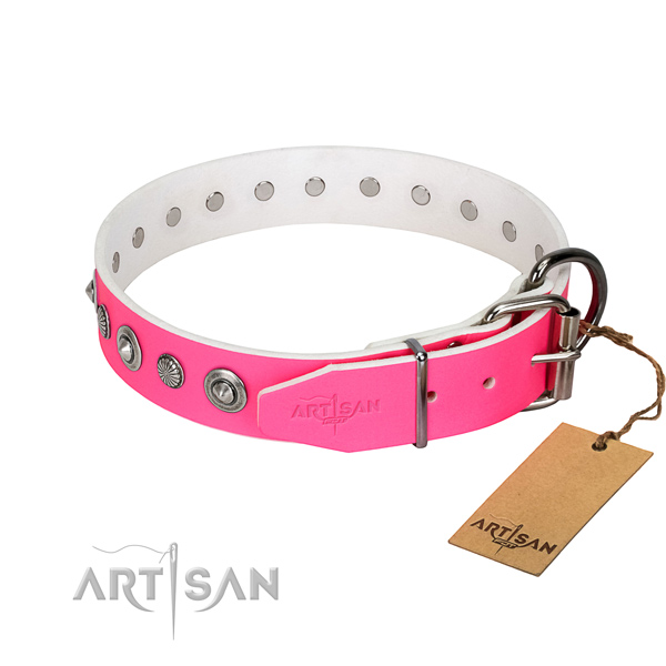 Top notch natural leather dog collar with stunning embellishments