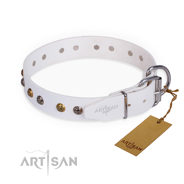 Leather dog collar with awesome corrosion proof studs