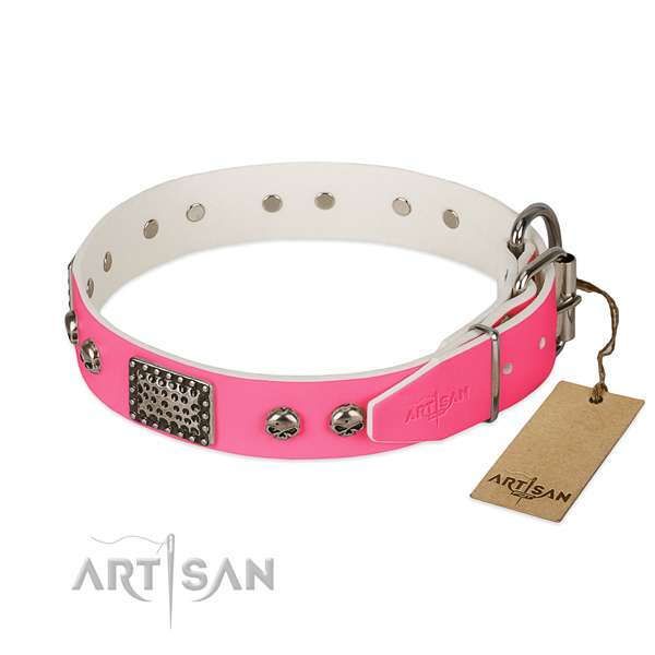 Strong traditional buckle on daily walking dog collar