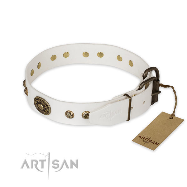 Durable D-ring on natural genuine leather collar for basic training your pet