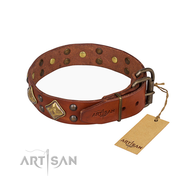 Genuine leather dog collar with significant durable studs