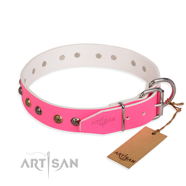 Natural leather dog collar with unusual reliable studs