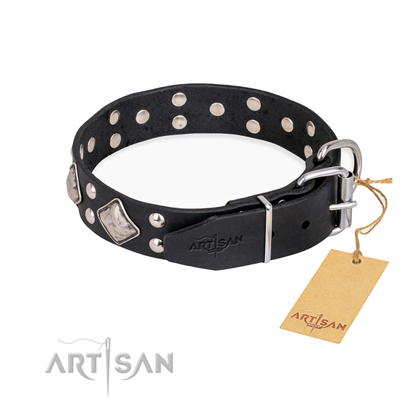 Natural leather dog collar with unusual reliable studs