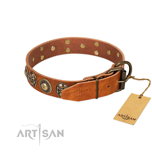 Rust resistant buckle on comfy wearing dog collar