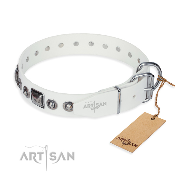 Strong full grain leather dog collar made for daily use