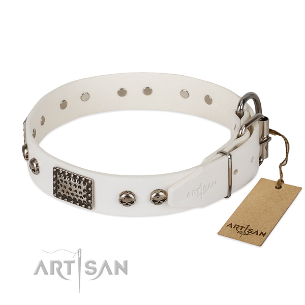 Corrosion resistant buckle on comfortable wearing dog collar