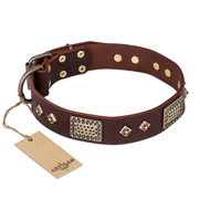 "Loving Owner" FDT Artisan Decorated Leather Pitbull Collar with Plates and Studs