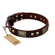 "Magic Amulet" Brown Leather Pitbull Collar with Skulls and Plates