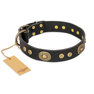 "Golden Radiance" FDT Artisan Black Leather Pitbull Collar with Old Bronze Look Ovals and Circles "Golden Radiance" FDT Artisan Black Leather Pitbull Collar with Old Bronze Look Ovals and Circles