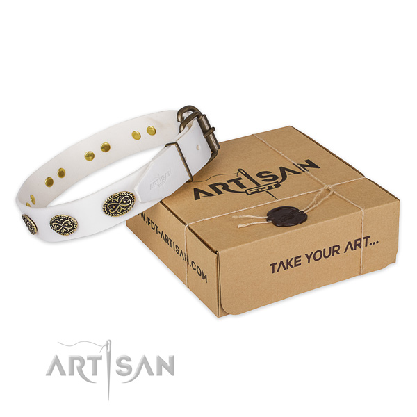 Reliable D-ring on full grain genuine leather dog collar for fancy walking