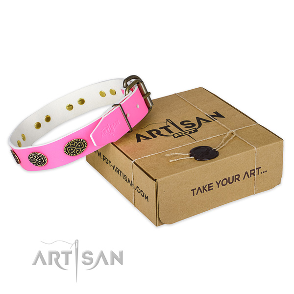 Studded full grain natural leather dog collar for stylish walking