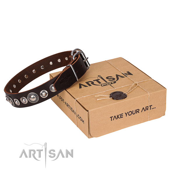 Full grain leather dog collar made of reliable material with durable traditional buckle