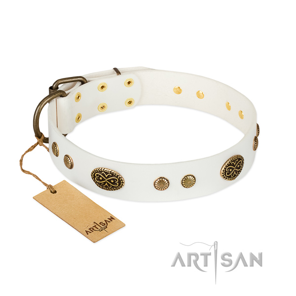 Durable embellishments on full grain genuine leather dog collar for your four-legged friend