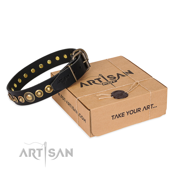 Reliable full grain natural leather dog collar handcrafted for basic training