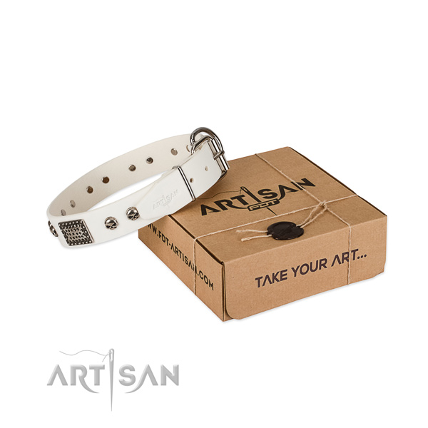 Strong hardware on dog collar for everyday use