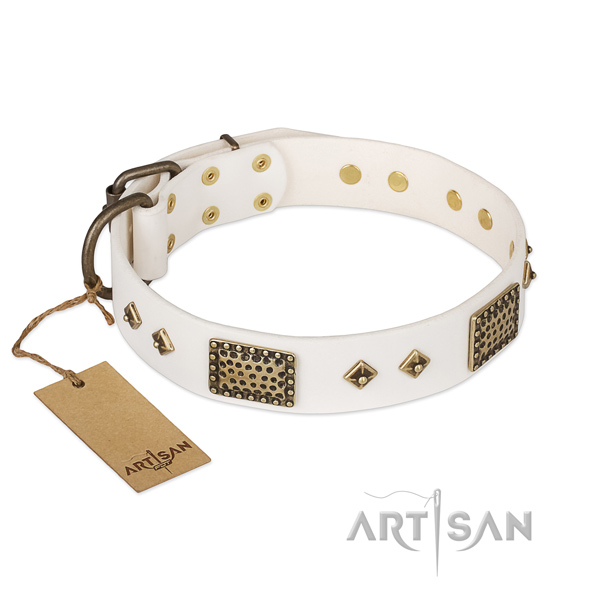 Best quality full grain natural leather dog collar for walking