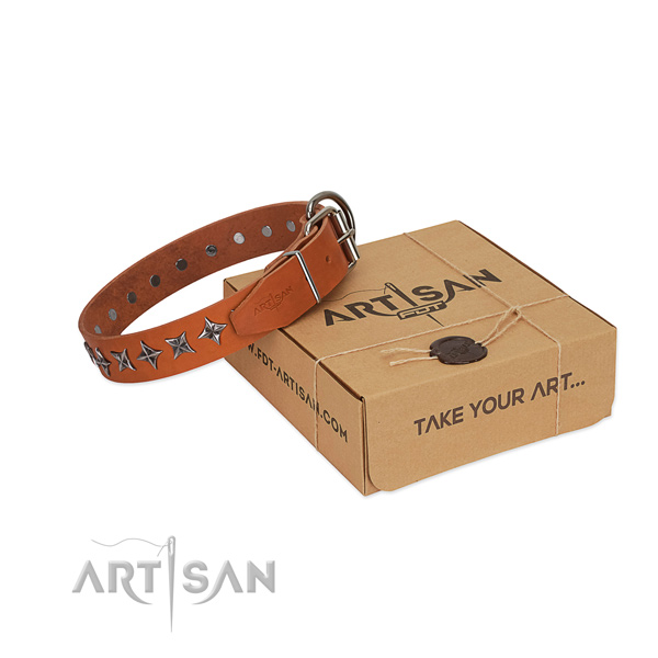 Daily walking dog collar of strong full grain natural leather with adornments