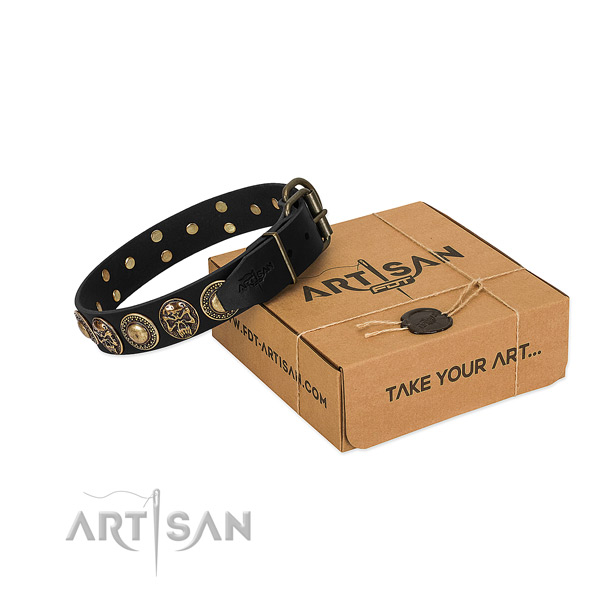 Durable traditional buckle on dog collar for comfortable wearing