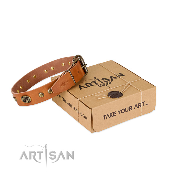 Reliable adornments on full grain genuine leather dog collar for your dog