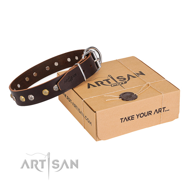 Quality full grain genuine leather dog collar created for everyday walking