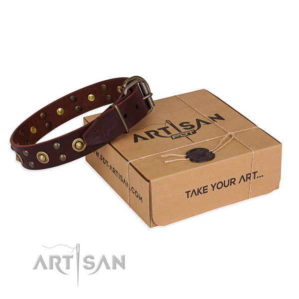 Rust resistant buckle on genuine leather collar for your impressive four-legged friend