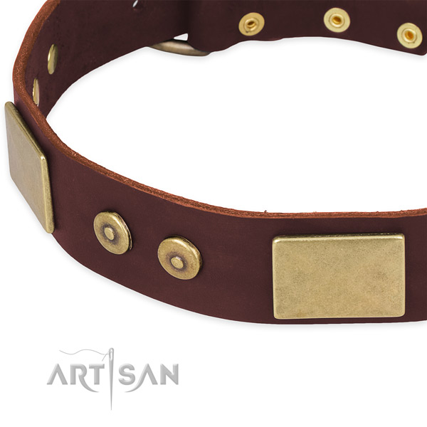 Genuine leather dog collar with studs for handy use