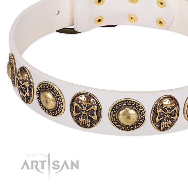 Strong buckle on genuine leather dog collar for your pet