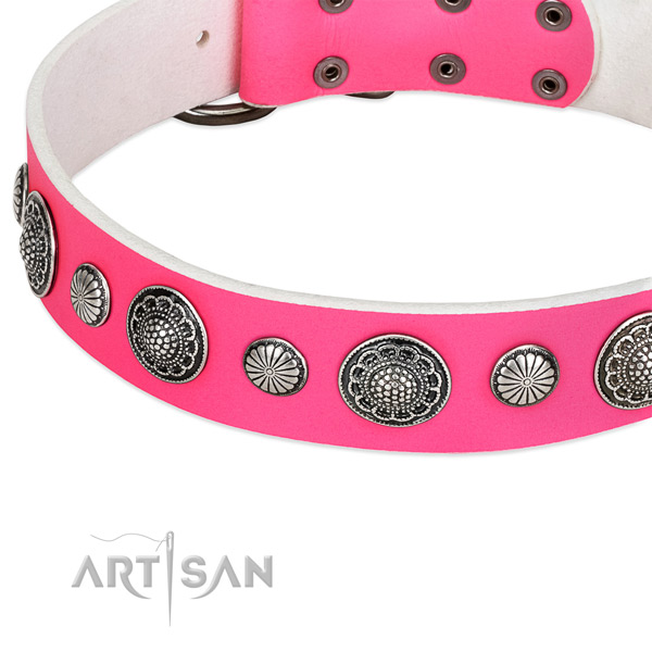 Full grain genuine leather collar with corrosion resistant fittings for your beautiful canine