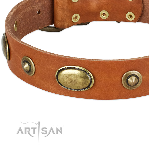 Rust-proof embellishments on full grain leather dog collar for your canine