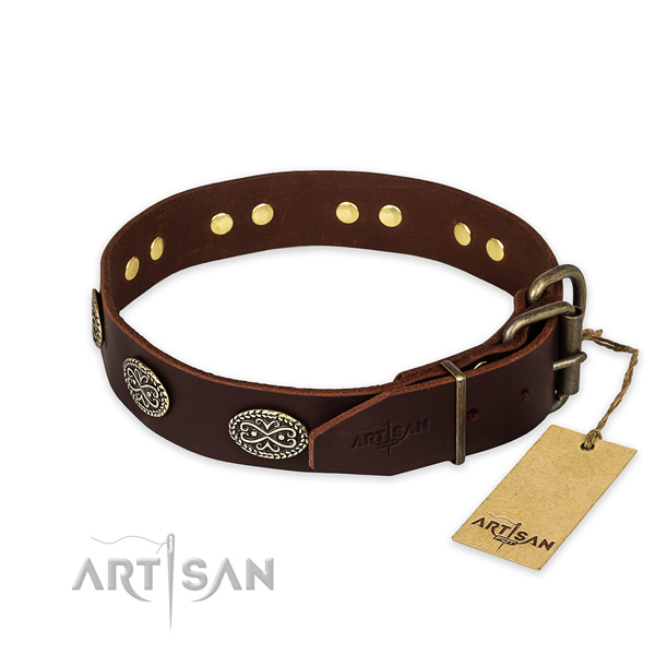 Strong buckle on full grain natural leather collar for your attractive four-legged friend