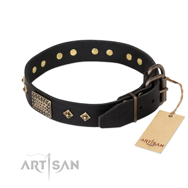 Leather dog collar with corrosion resistant traditional buckle and embellishments