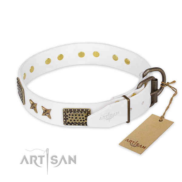 Corrosion proof fittings on leather collar for your stylish dog