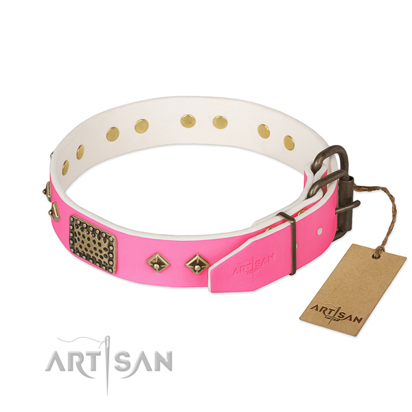 Corrosion proof D-ring on daily use dog collar