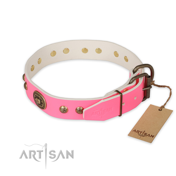 Reliable traditional buckle on full grain natural leather collar for fancy walking your canine