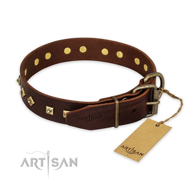 Rust-proof fittings on genuine leather collar for stylish walking your dog