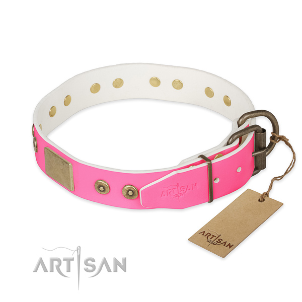 Corrosion proof studs on handy use dog collar