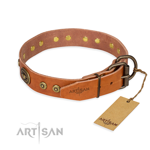 Full grain leather dog collar made of reliable material with rust-proof decorations